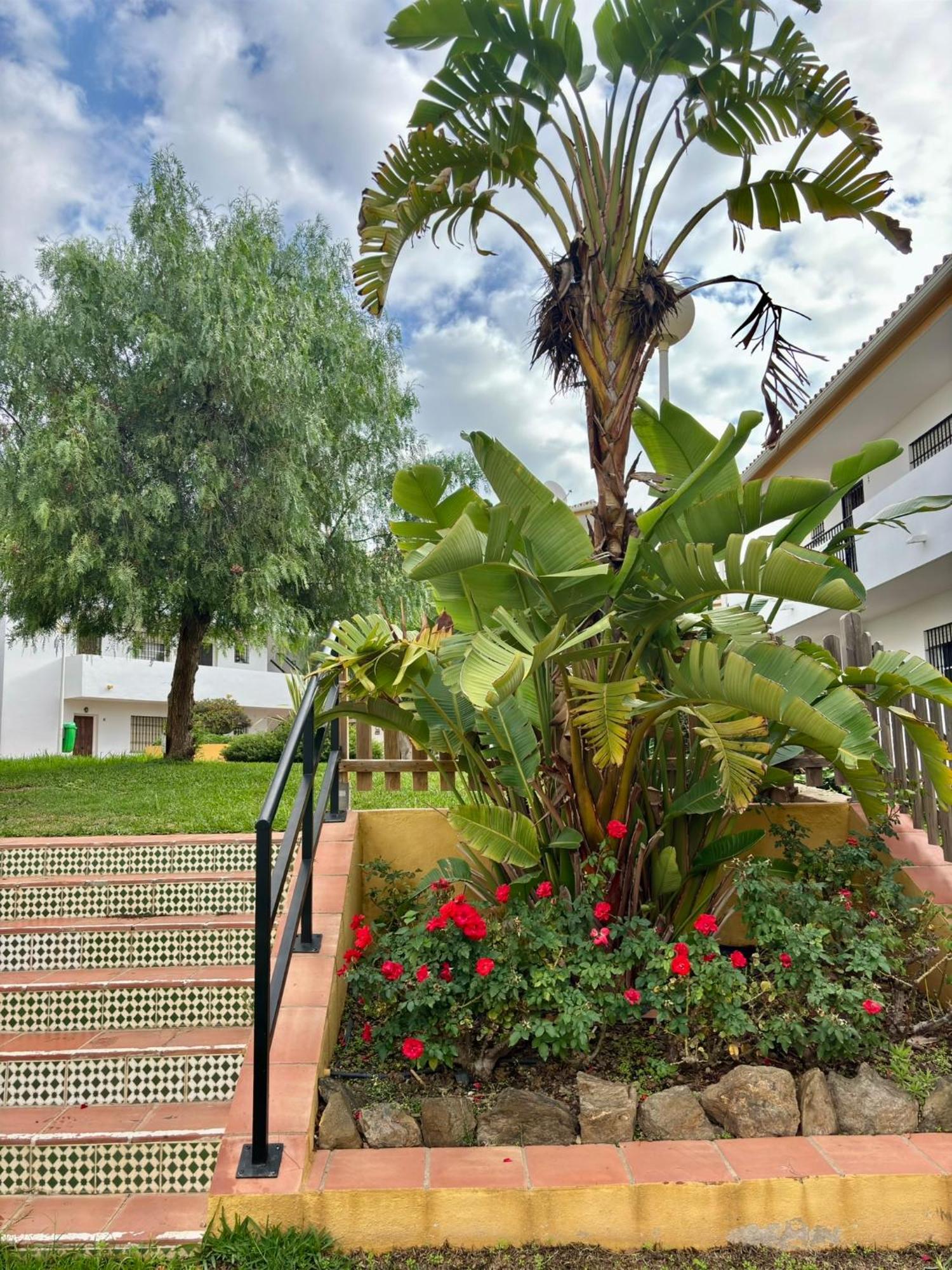 Apartment Luz De Buda